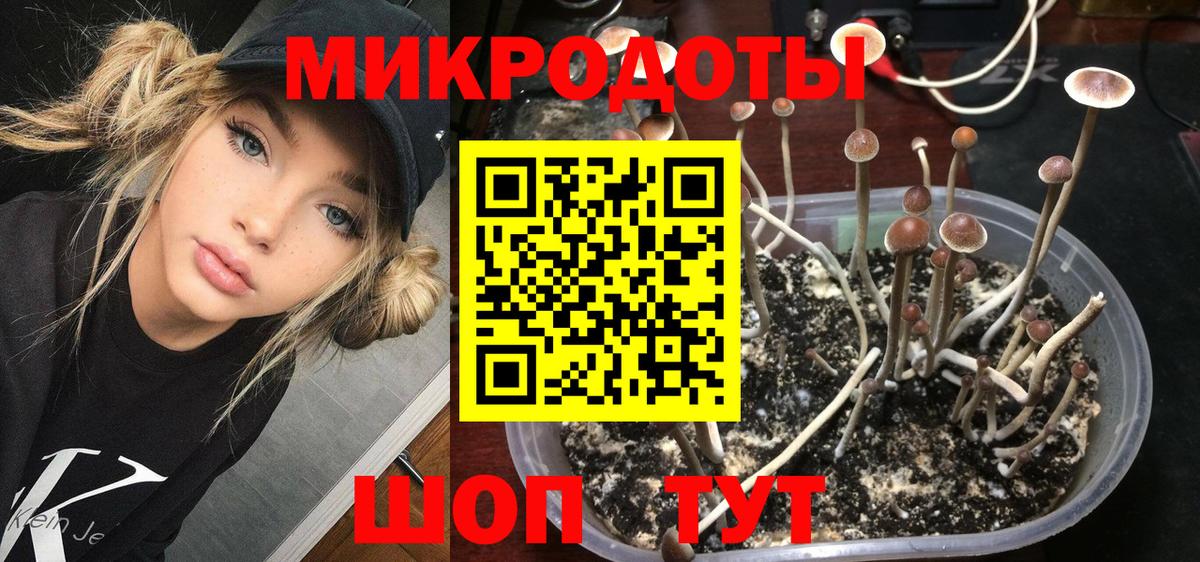 Псилоцибиновые грибы мицелий Чусовой
