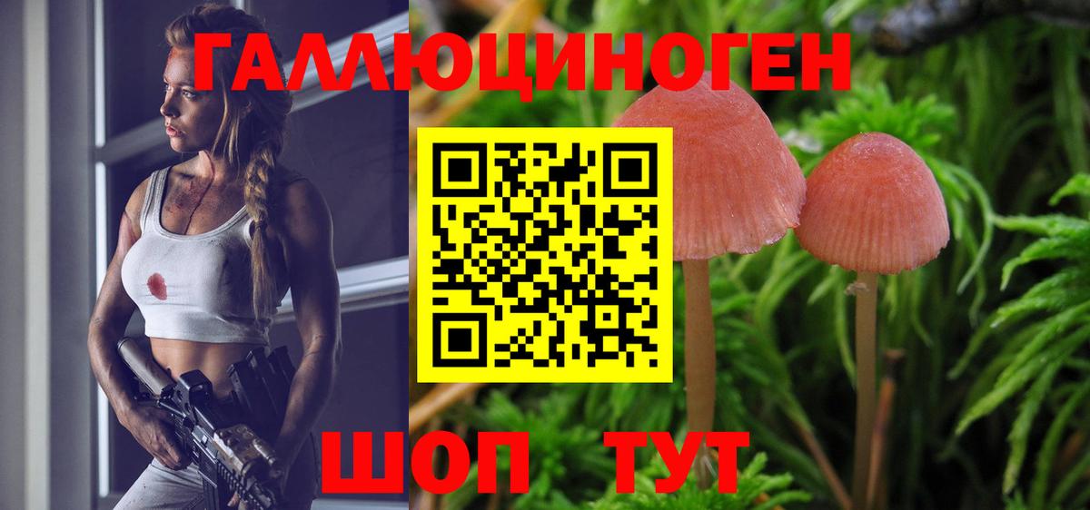 Чусовой  Псилоцибиновые грибы Psilocybine cubensis  Вход с VPN 